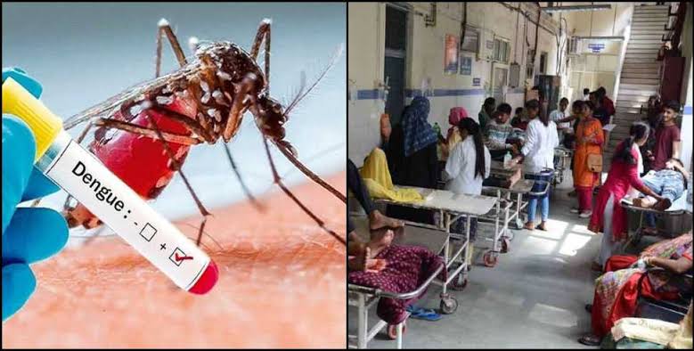 उत्तराखंड के इस जिले में डेंगू का कहर, डेंगू से बचाव के निर्देश न मानने पर 14 स्कूलों को नोटिस,,,।