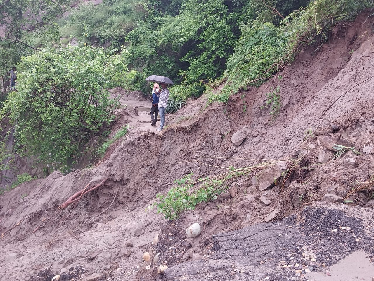 मनसा देवी पहाड़ी के भूस्खलन वाले क्षेत्रों का विशेषज्ञों की टीम ने किया स्थलीय निरीक्षण,,,।