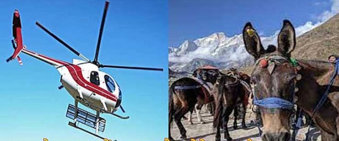 केदारनाथ यात्रा में एक दिन में 4,000 घोड़ा-खच्चरों का संचालन, हेलीकॉप्टर सेवा के लिए नई एसओपी,,,