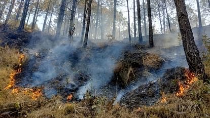 वनों में आग लगाने वाले सात लोगों को वन विभाग की टीम ने रंगे हाथों आग लगाते हुए धर दबोचा,,,।