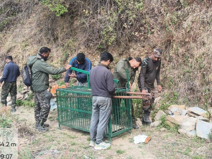 मानव-वन्यजीव संघर्ष पर कड़ा कदम: गुलदार को पकड़ने के साथ ही नष्ट करने के आदेश,,,।